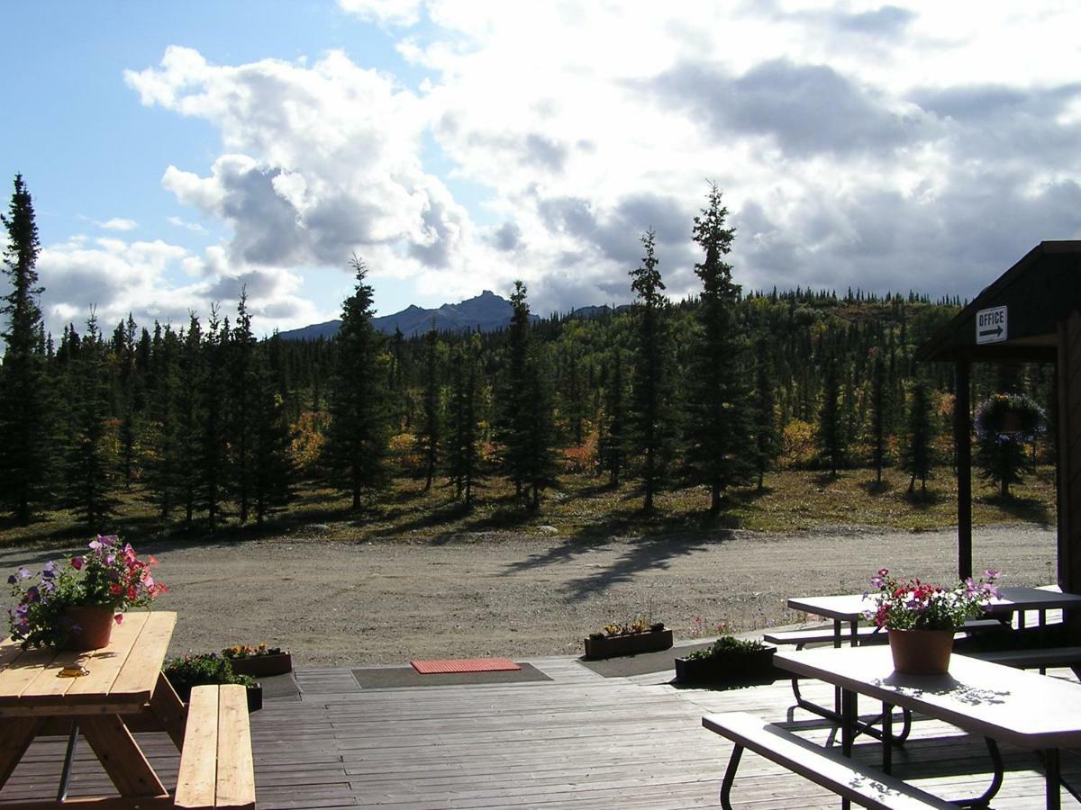 White Moose Lodge Healy Ngoại thất bức ảnh