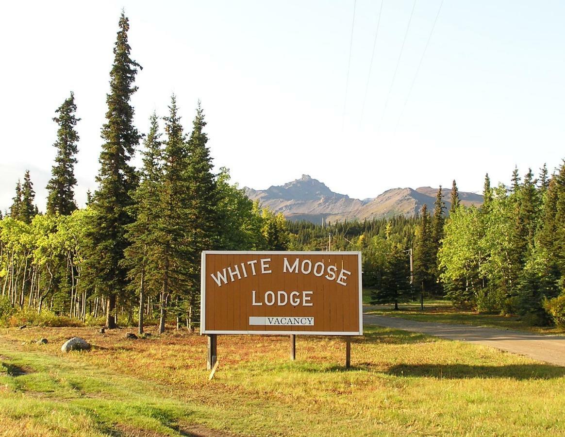 White Moose Lodge Healy Ngoại thất bức ảnh