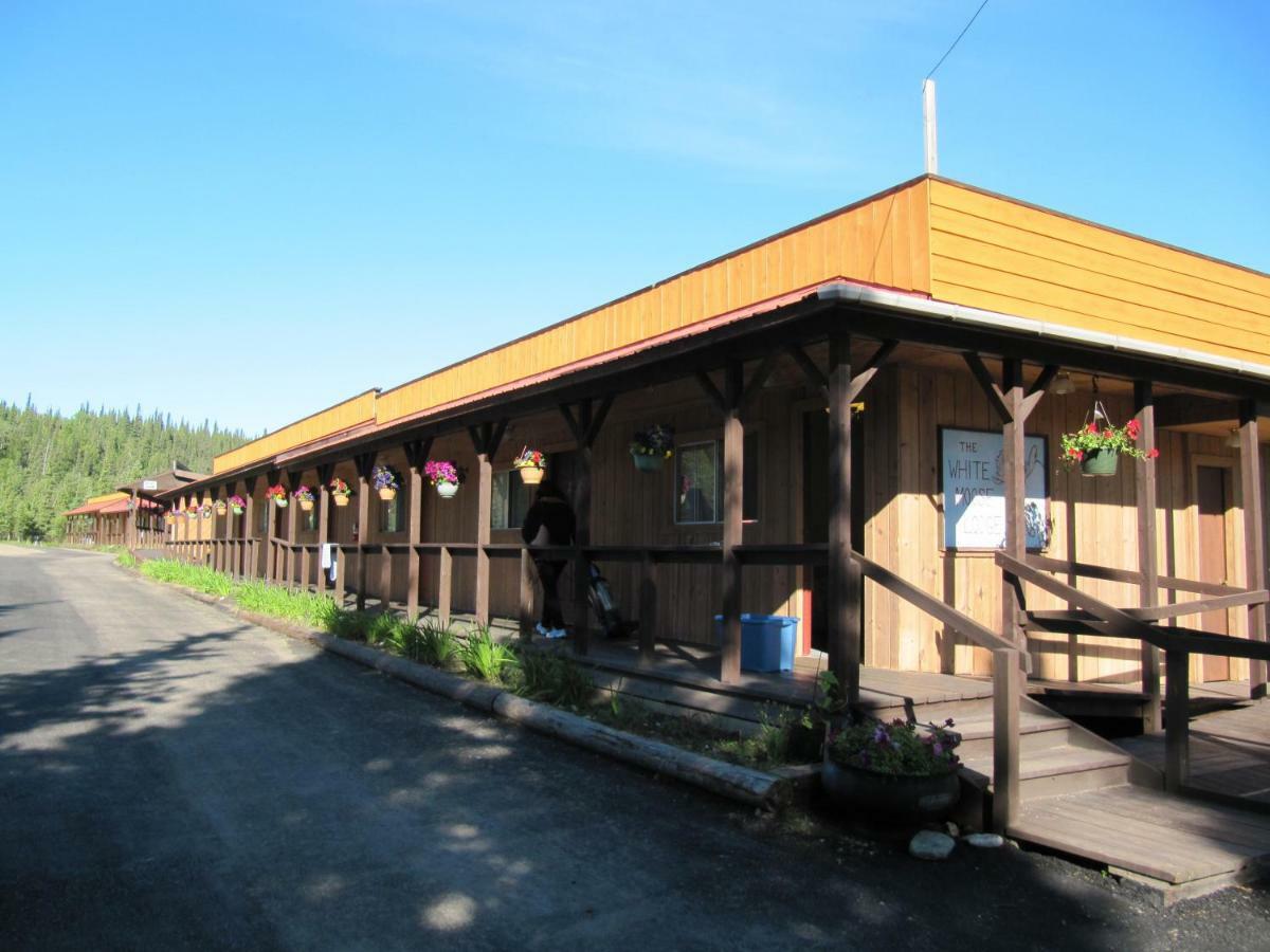 White Moose Lodge Healy Ngoại thất bức ảnh