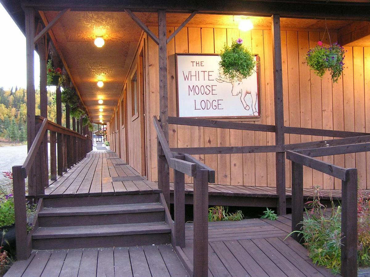White Moose Lodge Healy Ngoại thất bức ảnh