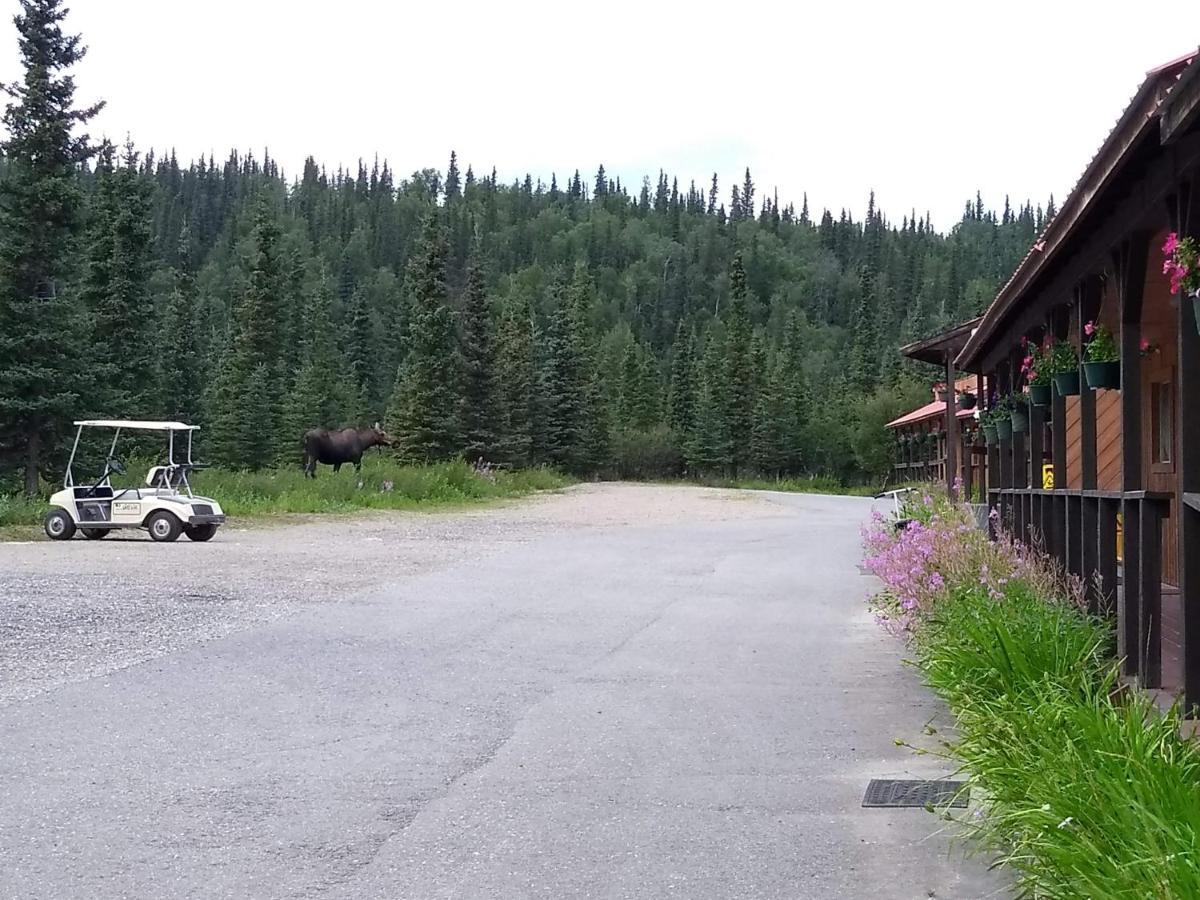 White Moose Lodge Healy Ngoại thất bức ảnh